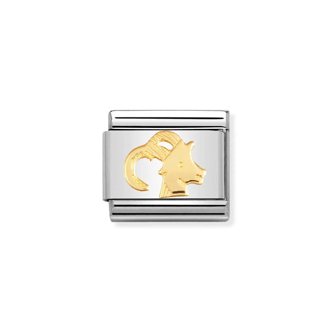 Composable Classic Link, Capricorn