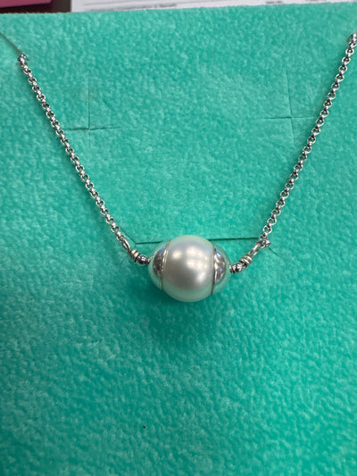 Freshwater Pearl on Rolo Chain Necklace