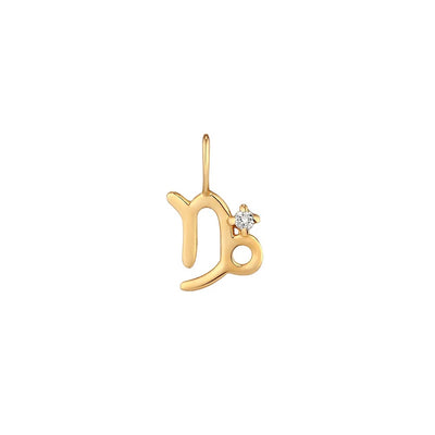 CAPRICORN | Diamond Zodiac Charm