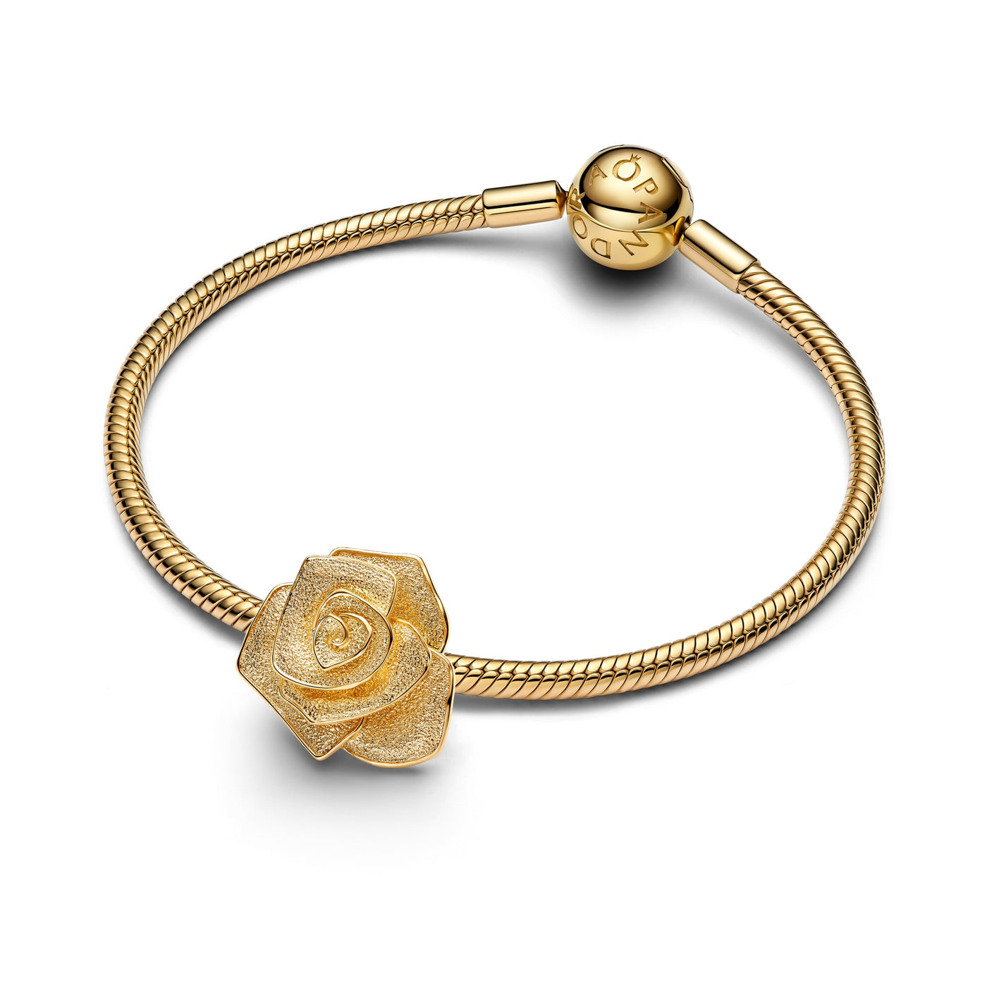 Pandora Rose in Bloom Oversized Charm