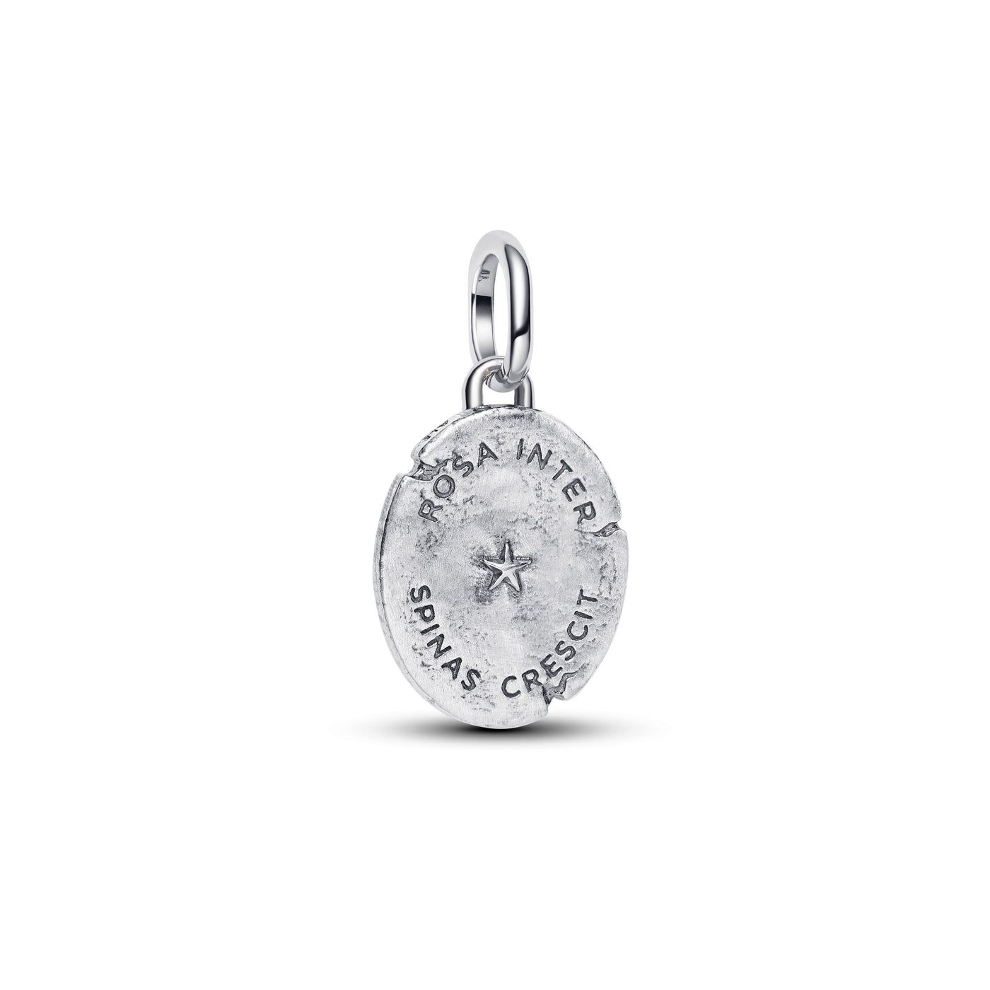 Pandora Rose Medallion Charm