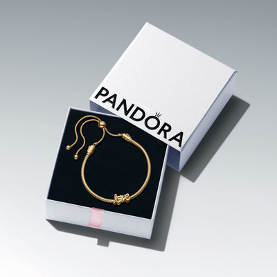 Pandora Golden Love Bracelet Gift Set