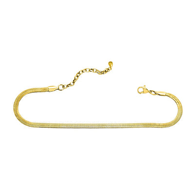 Here's the Skinny - Mirror & Snake Chain Anklet - Gold Plate