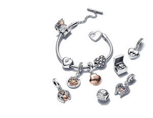 New PANDORA Bracelet Charm Ring Necklace Polishing Cloth Set Jewelry Care  Kit
