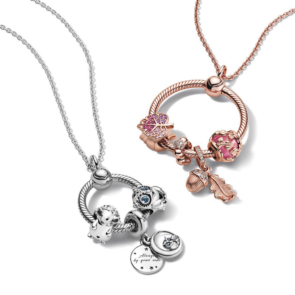 Pandora necklace 2024 with charm